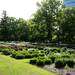 The Peony Garden in Nichols Arboretum on Tuesday, June 4. Daniel Brenner I AnnArbor.com